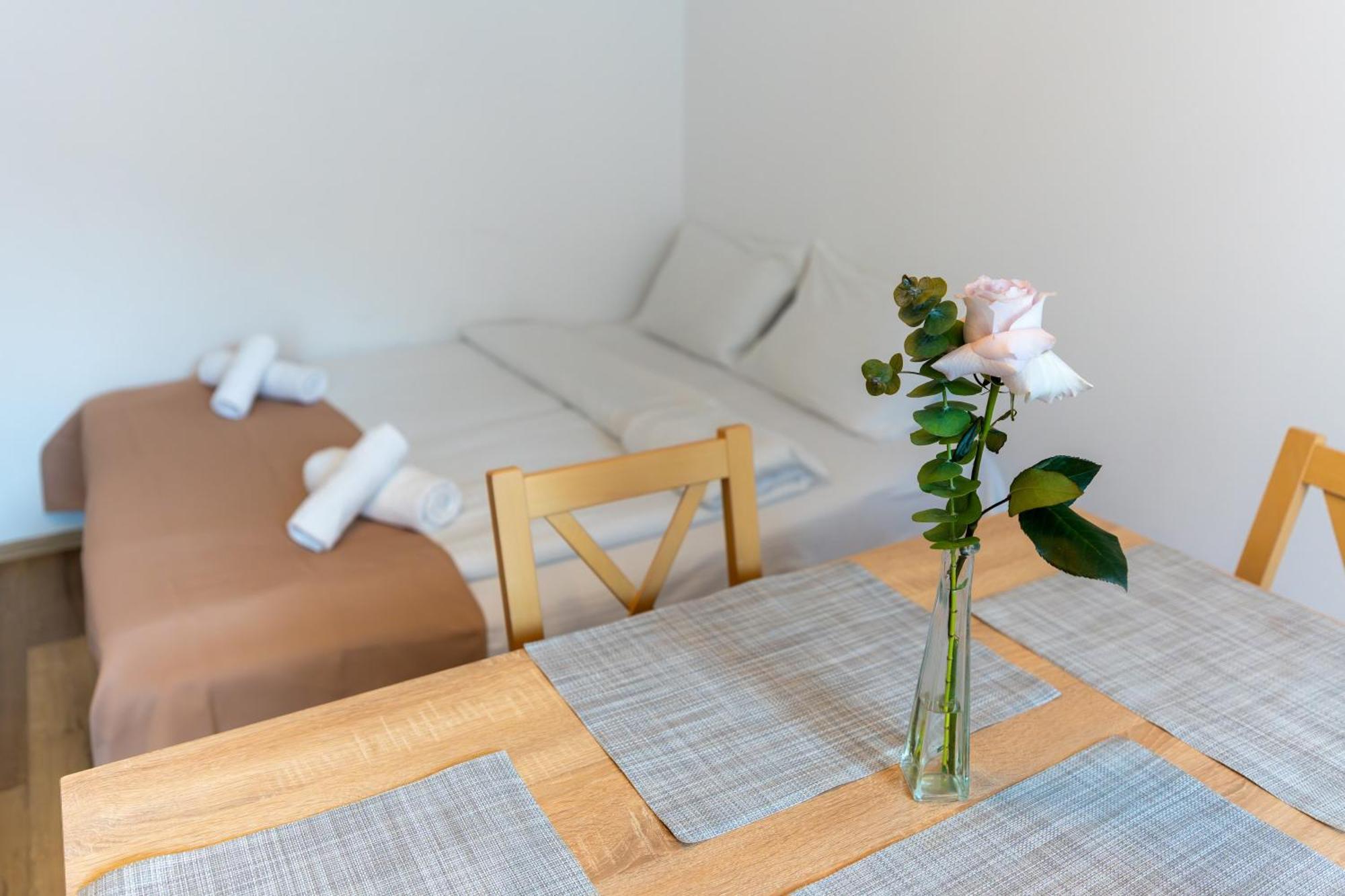 Crisan Residence - Vila Crisan 브라쇼브 외부 사진